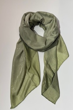 EVI03-VERT
