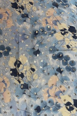 EVI06-BLEU