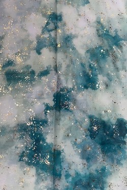 EVI08-VERT