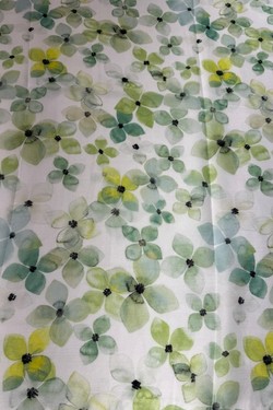EVI18-VERT