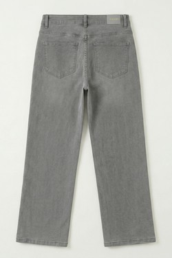 J2972-GRIS