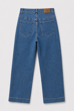 V1190-BLEU