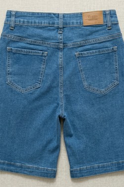 V1243-BLEU