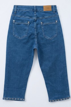 J1249-BLEU