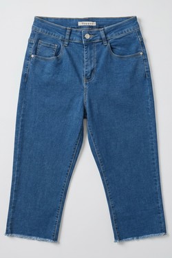 V1248-BLEU