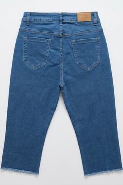 V1248-BLEU