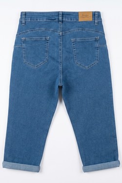 J1246-BLEU