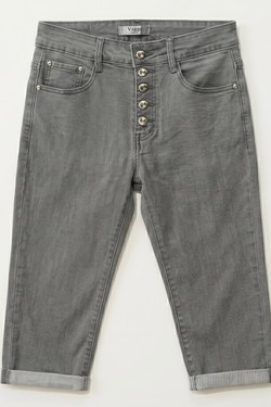 V2970-GRIS