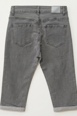 V2970-GRIS