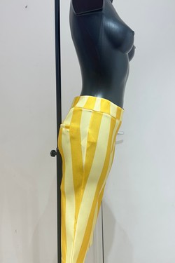 A63971-SAUMON