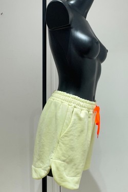 E90066-GRIS
