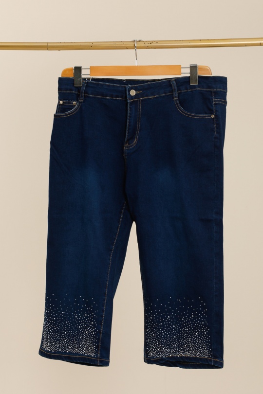 PC2088-BLEU