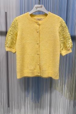 CH1988.PU-JAUNE