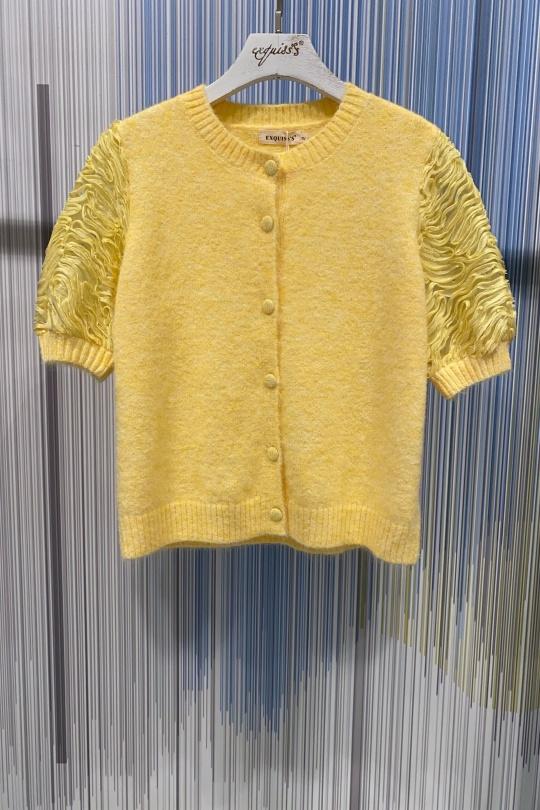 CH1988.PU-JAUNE