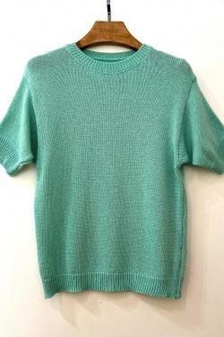 8923-ANIS