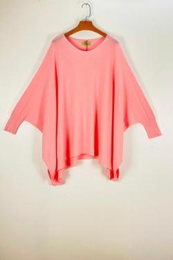 8692-ANIS