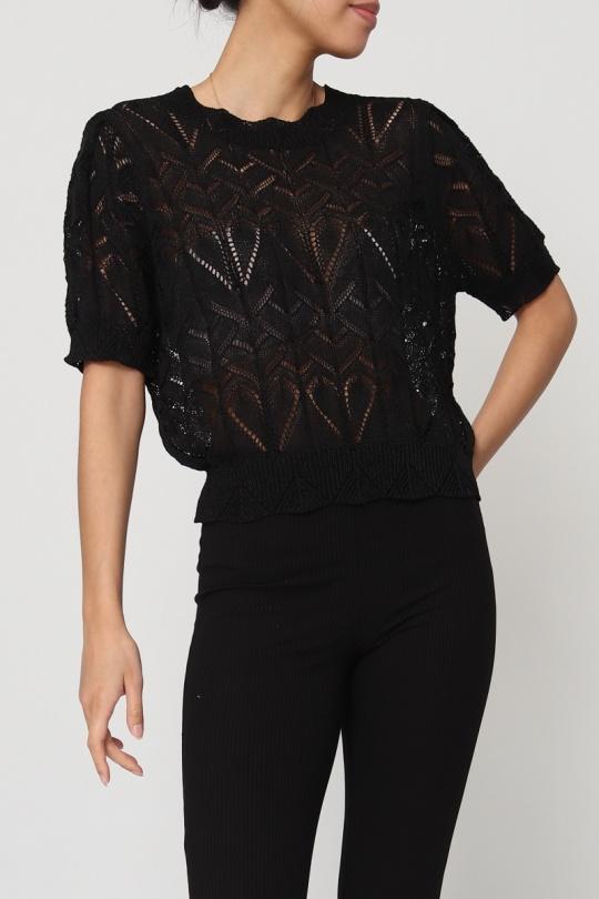 D2031-NOIR