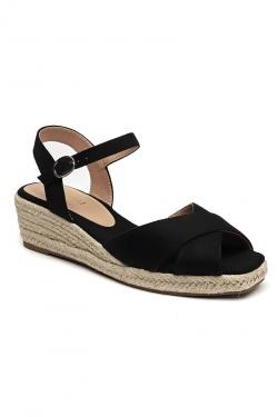 SH4406-CAMEL