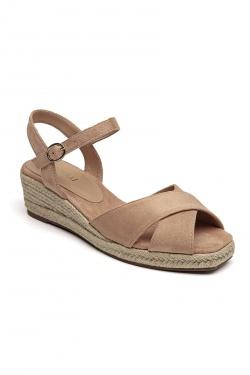 SH4406-CAMEL