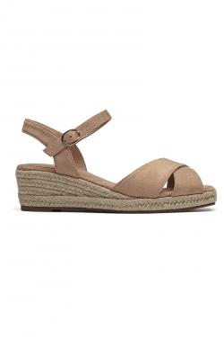 SH4406-CAMEL
