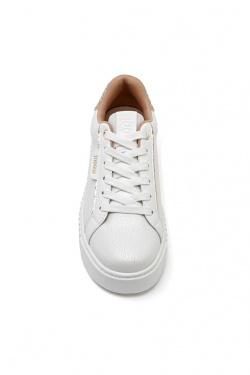 KP5014-BEIGE
