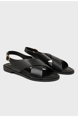 SP6152-CHOCO