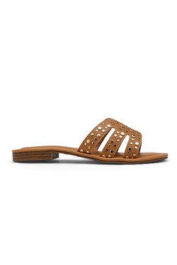 MP6126-CAMEL