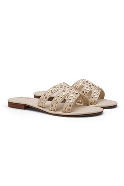 MP6126-CAMEL