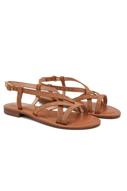 SP6144-CAMEL