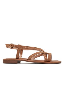 SP6144-CAMEL