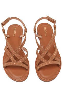 SP6144-CAMEL