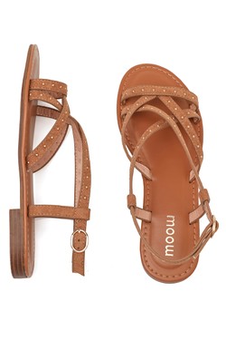 SP6144-CAMEL
