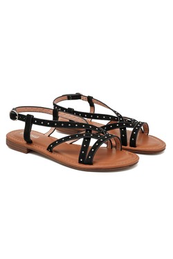 SP6144-CAMEL