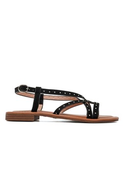 SP6144-CAMEL