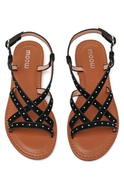 SP6144-CAMEL