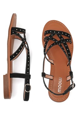 SP6144-CAMEL