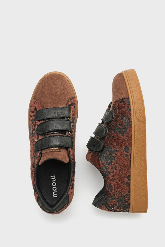 kp6613-LEOPARD