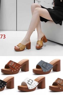 N25-173-CAMEL