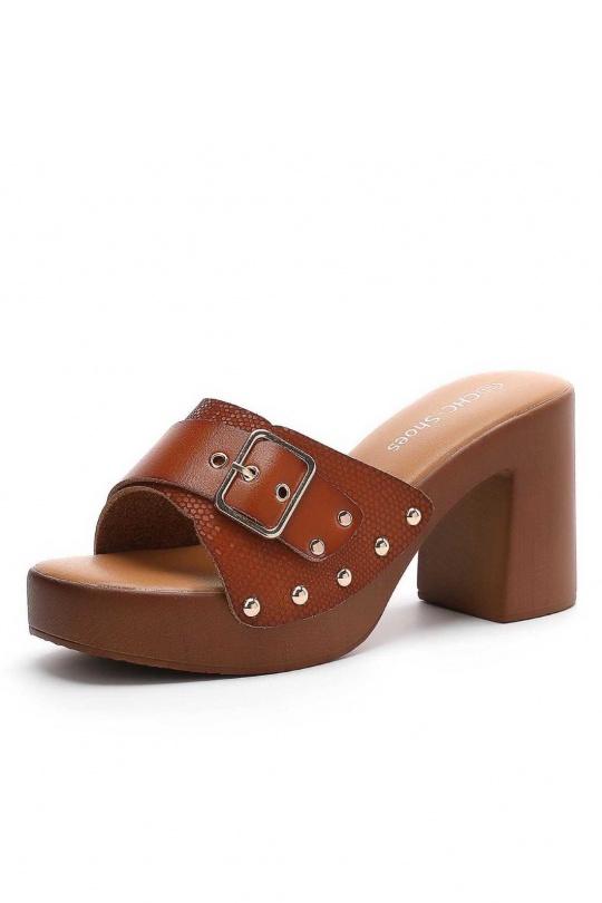 N25-173-CAMEL