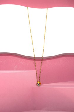 COK083880-MULTICOLORE