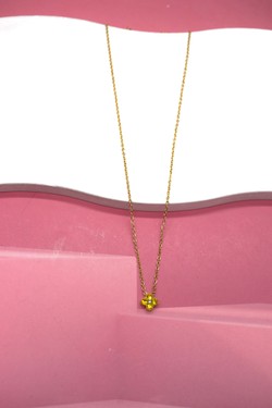 COK083880-MULTICOLORE