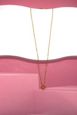 COK083880-MULTICOLORE