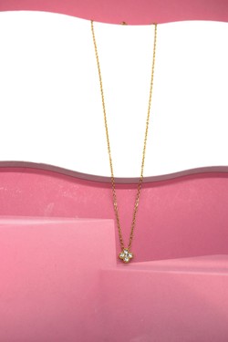 COK083880-MULTICOLORE