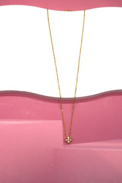 COK083880-MULTICOLORE
