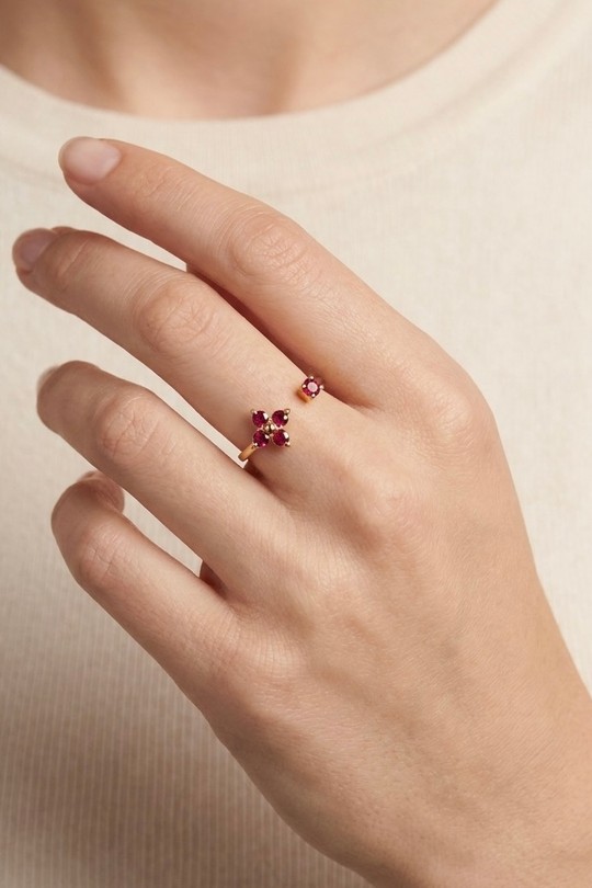 BAJ938136-ROUGE