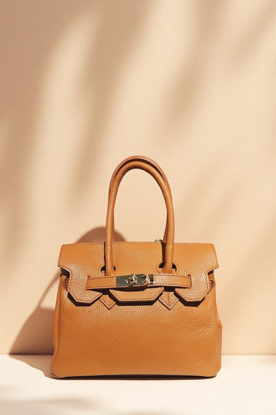 IT0586-CAMEL