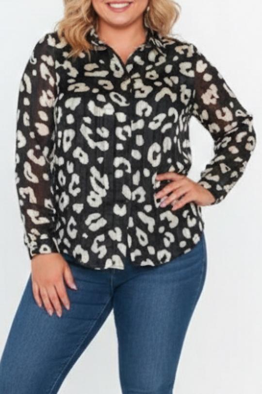 LP11075-NOIR