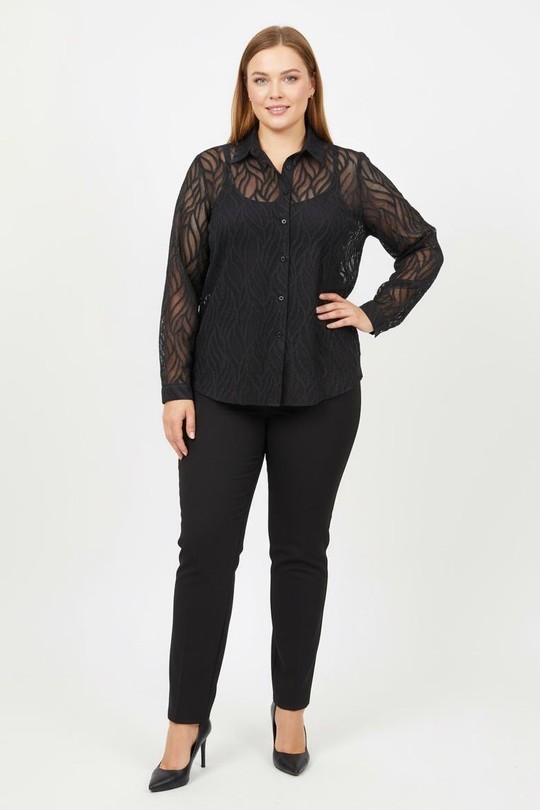 lp15293-NOIR