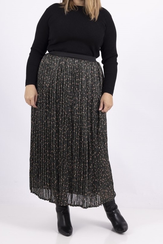 lp13057-KAKI