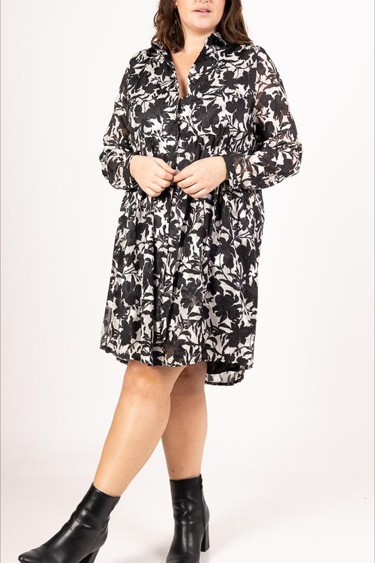 lp15029-NOIR